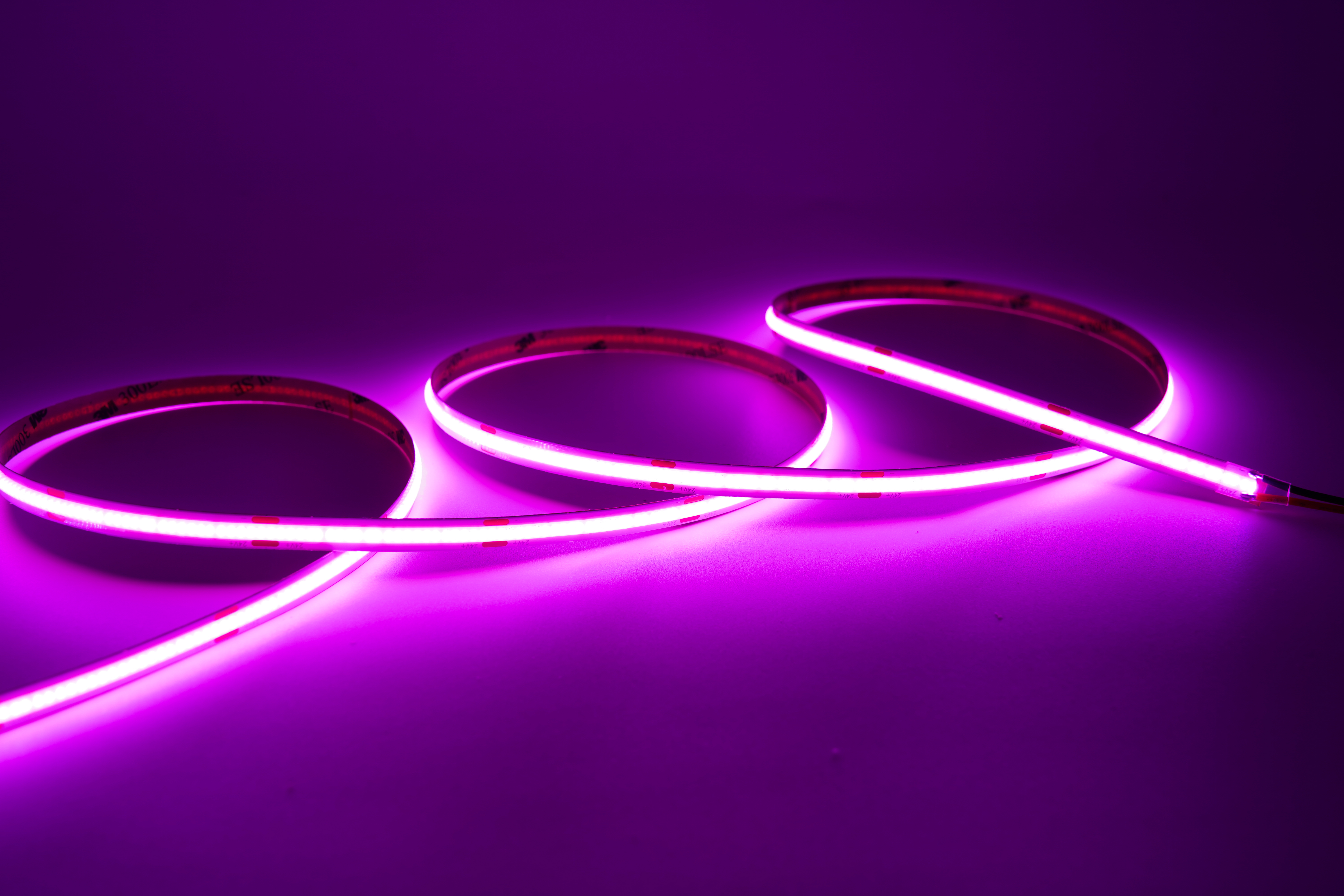 COB LED Streifen 24V – 480 LEDs/m – 8 mm – 10W/m – Violett – IP33 – homogener Lichtstreifen