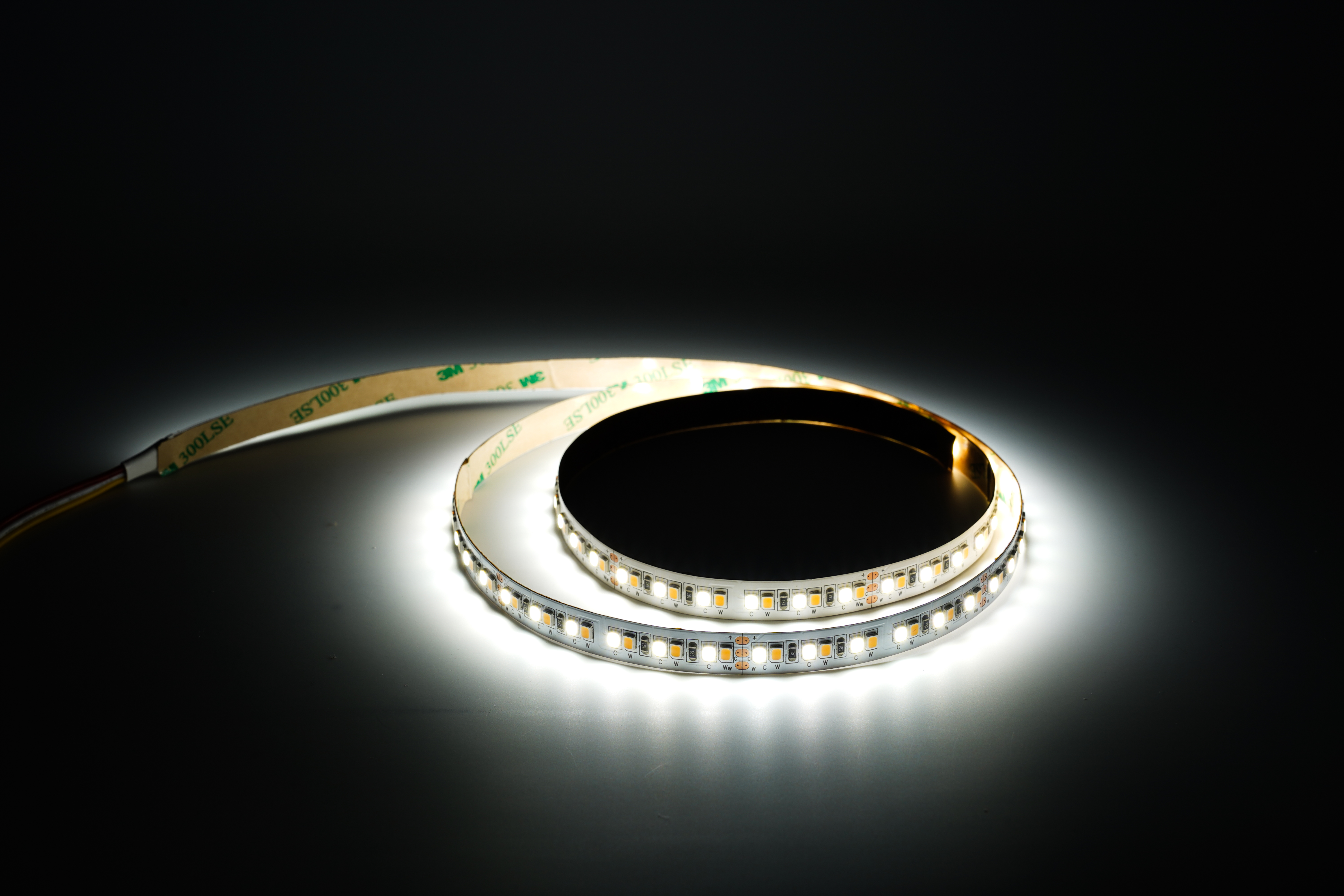 24V CCT LED Streifen mit 192 LEDs pro Meter in kaltweißer Einstellung – CRI82, helles klarweißes Licht, dimmbar und flexibel einstellbare Farbtemperatur für Arbeits- und Effektbeleuchtung