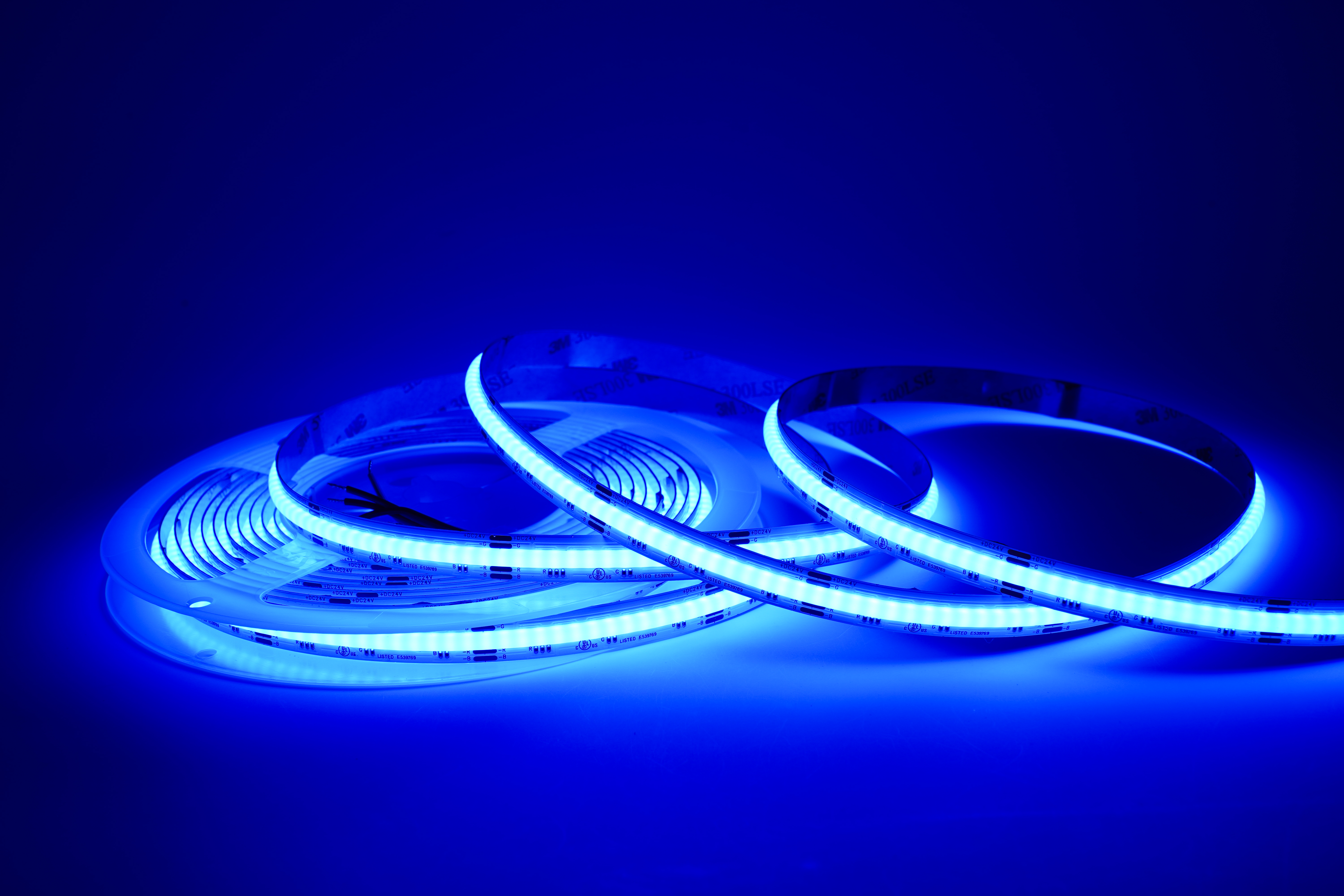 COB RGB LED Streifen 10 mm in kräftigem Blau, homogen leuchtendes LED Band ohne sichtbare Punkte, 840 LEDs/m, 24 V – ideal für Akzent-, Ambient- und Designbeleuchtung