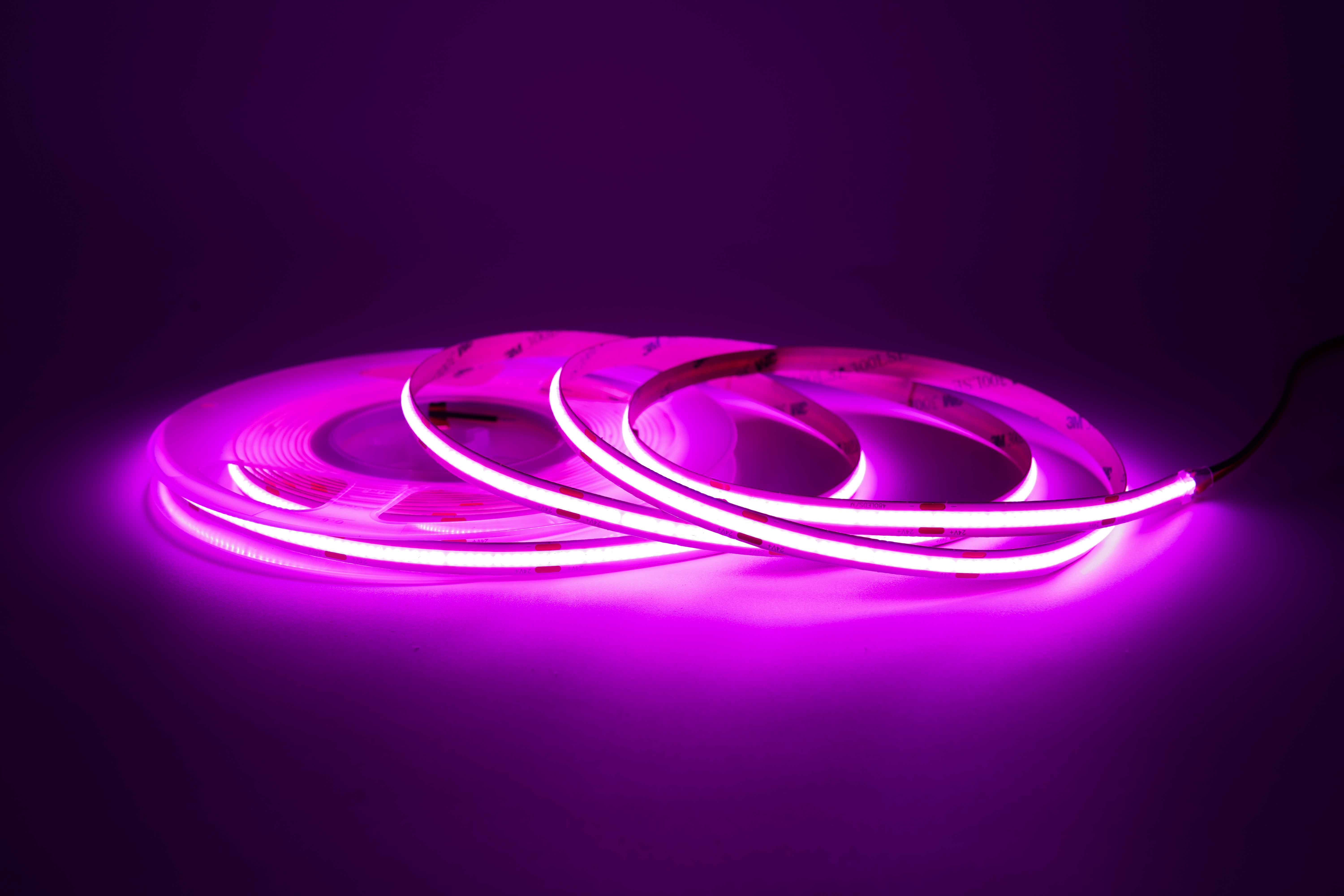 COB LED Streifen 24V – 480 LEDs/m – 8 mm – 10W/m – Violett – IP33 – homogener Lichtstreifen