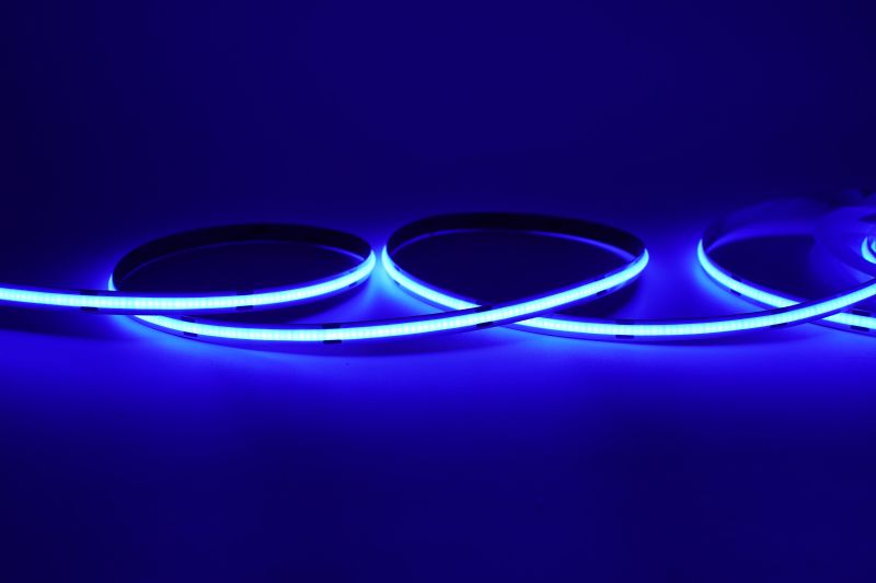 COB LED Streifen 24V einfarbig blau mit 480 LEDs pro Meter und gleichmäßigem, punktfreiem Lichtbild